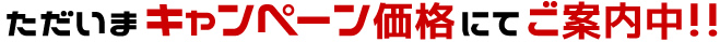 キャンペーン価格にてご案内中！