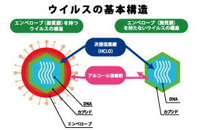 内部まで透過し酸化